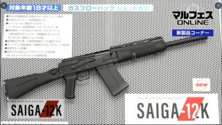 saiga-k12
